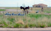 Nesting Crane Development, Weld County, CO